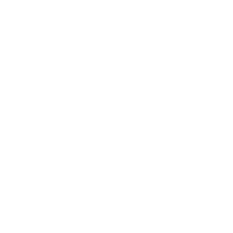 Digital North